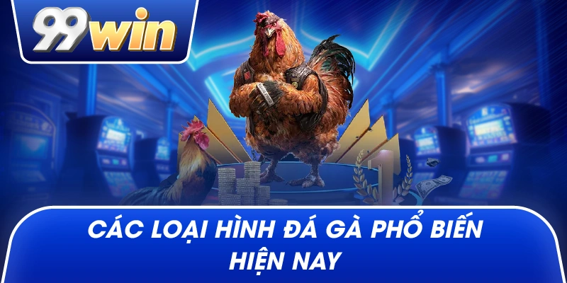 Các loại hình đá gà phổ biến hiện nay