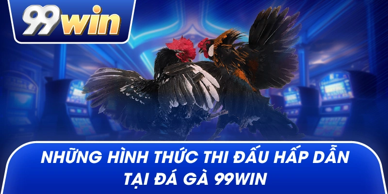 Những hình thức thi đấu hấp dẫn tại Đá Gà 99win