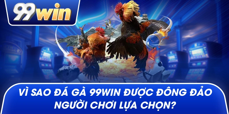Vì sao Đá Gà 99win được đông đảo người chơi lựa chọn?